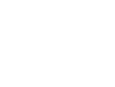 Magna Electric Logo